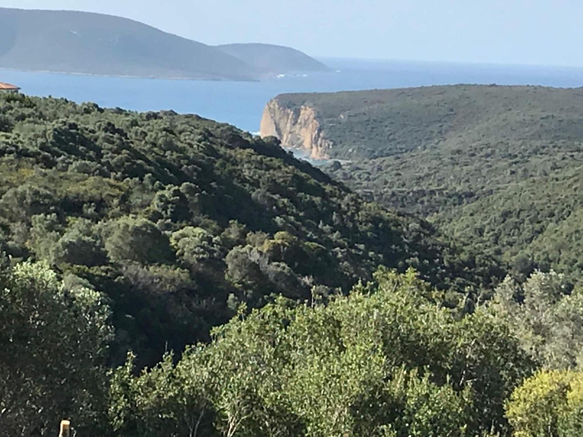 Luxurious Villa In Peloponnese With Swimming Pool Kamária 外观 照片
